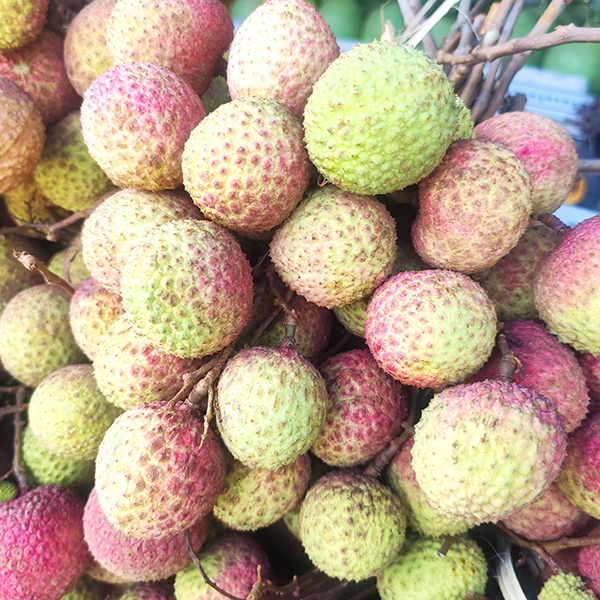 Vải thiều